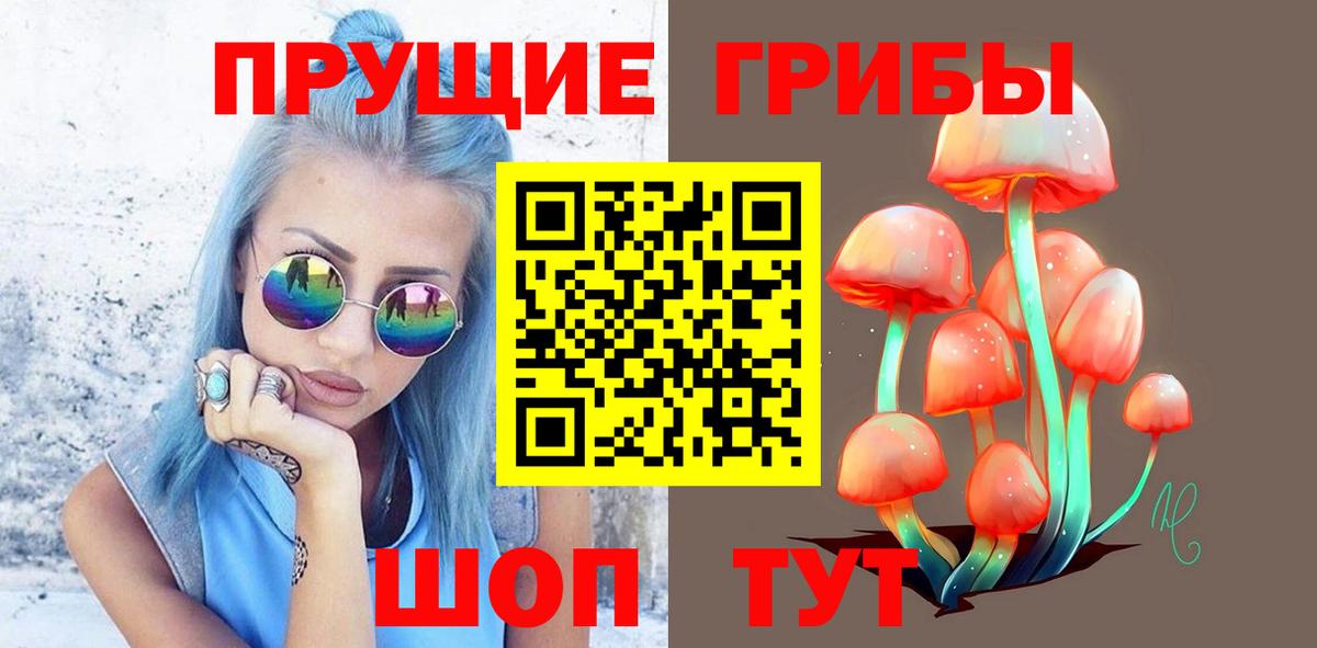 Зима  Галлюциногенные грибы GOLDEN TEACHER  Вход с VPN 